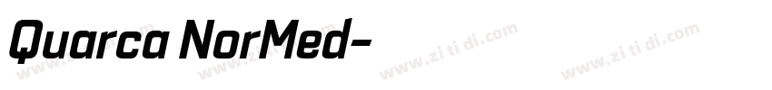 Quarca NorMed字体转换